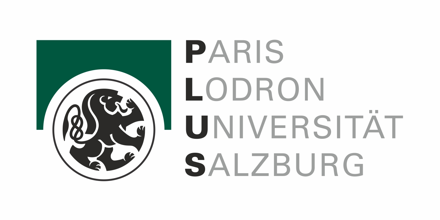 PLUS Logo